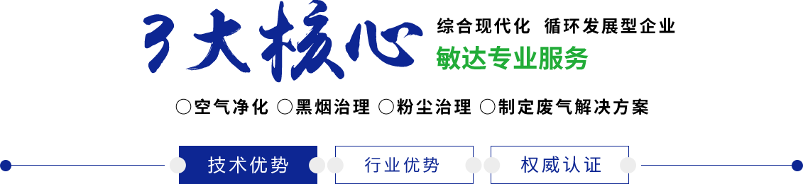 操逼嗯嗯嗯视频敏达环保科技（嘉兴）有限公司